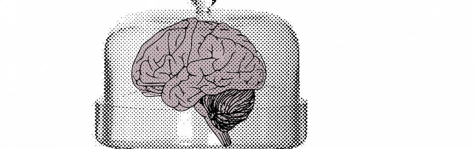 brain in white space
